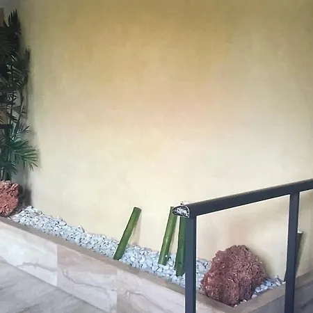 Traditional Apartamento *